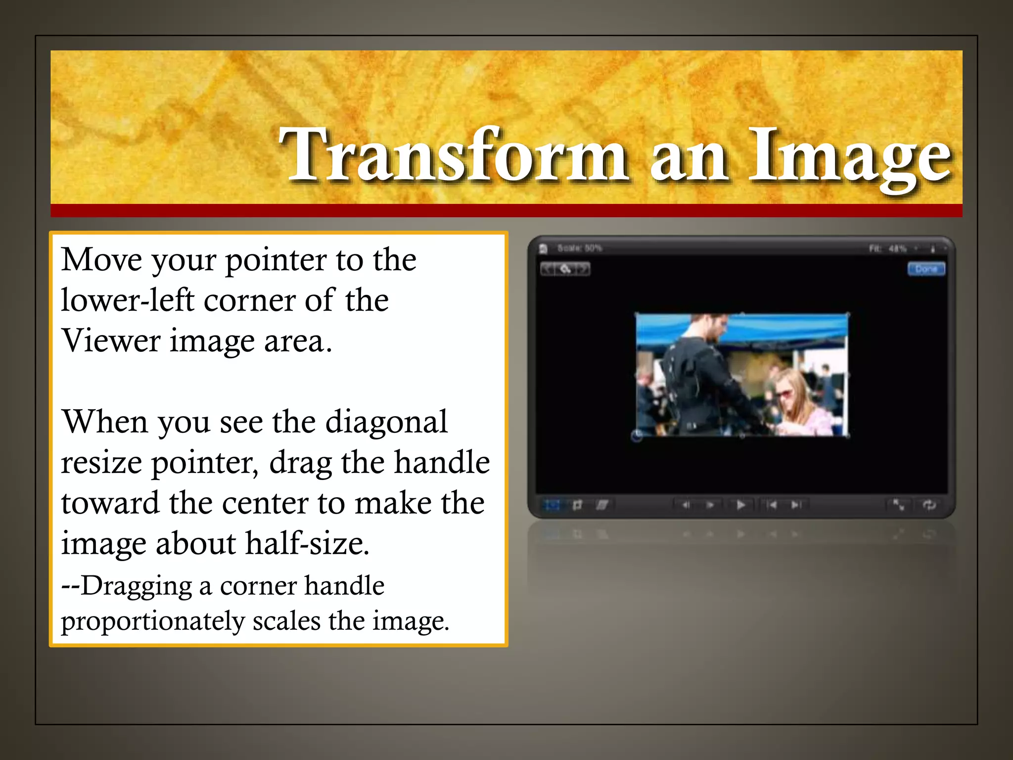 Transform an Image
Move your pointer to the
lower-left corner of the
Viewer image area.
When you see the diagonal
resize pointer, drag the handle
toward the center to make the
image about half-size.
--Dragging a corner handle
proportionately scales the image.
 