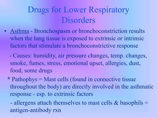 Drugs for Lower Respiratory
Disorders
• Asthma - Bronchospasm or bronchoconstriction results
when the lung tissue is exposed to extrinsic or intrinsic
factors that stimulate a bronchoconstrictive response
- Causes: humidity, air pressure changes, temp. changes,
smoke, fumes, stress, emotional upset, allergies, dust,
food, some drugs
* Pathophys = Mast cells (found in connective tissue
throughout the body) are directly involved in the asthmatic
response - esp. to extrinsic factors
- allergens attach themselves to mast cells & basophils =
antigen-antibody rxn
 