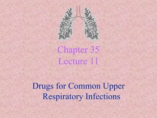 Chapter 35
Lecture 11
Drugs for Common Upper
Respiratory Infections
 