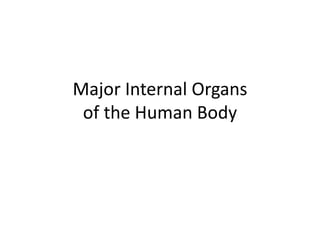 Major Internal Organs 
of the Human Body 
 