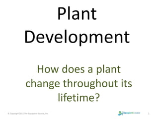 Plant 
Development 
How does a plant 
change throughout its 
lifetime? 
© Copyright 2012 The Aquaponic Source, Inc 1 
 