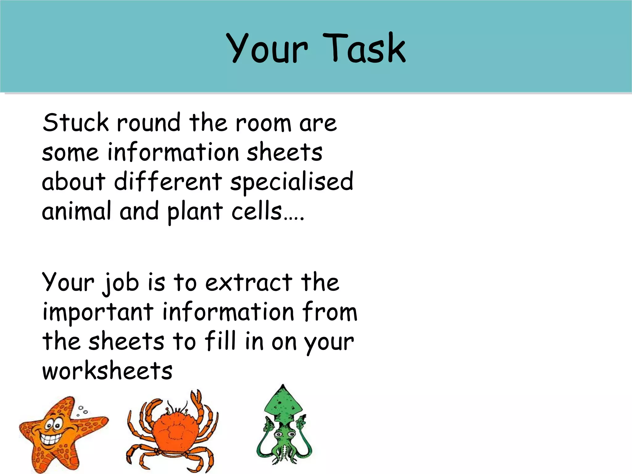 Red blood cellsRed blood cells
Stuck round the room are
some information sheets
about different specialised
animal and plant cells….
Your job is to extract the
important information from
the sheets to fill in on your
worksheets
Your TaskYour Task
 