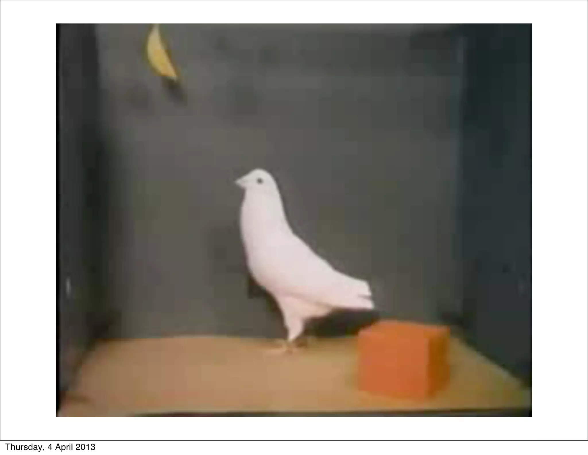 Thursday, 4 April 2013
 