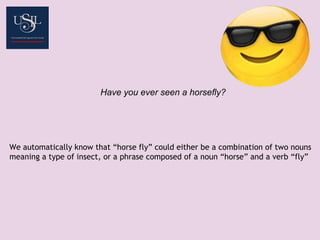 Have you ever seen a horsefly?
We automatically know that “horse fly” could either be a combination of two nouns
meaning a type of insect, or a phrase composed of a noun “horse” and a verb “fly”
 