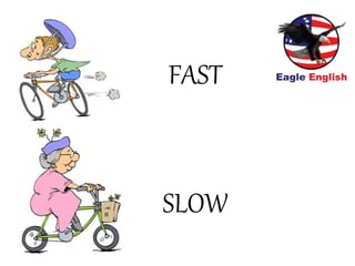 FAST
SLOW
 