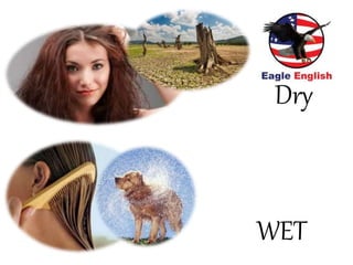Dry
WET
 