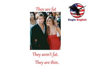 They are fat
They aren’t fat.
They are thin.
 
