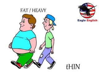 FAT / HEAVY
tHIN
 