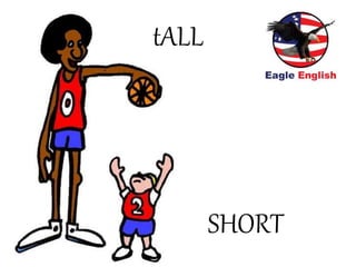 tALL
SHORT
 