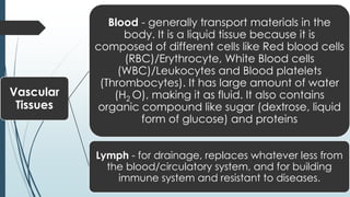 Vascular
Tissues
Blood - generally transport materials in the
body. It is a liquid tissue because it is
composed of different cells like Red blood cells
(RBC)/Erythrocyte, White Blood cells
(WBC)/Leukocytes and Blood platelets
(Thrombocytes). It has large amount of water
(H2 O), making it as fluid. It also contains
organic compound like sugar (dextrose, liquid
form of glucose) and proteins
Lymph - for drainage, replaces whatever less from
the blood/circulatory system, and for building
immune system and resistant to diseases.
 