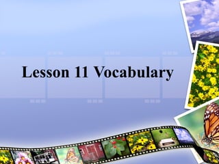 Lesson 11 Vocabulary 