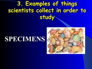 3. Examples of things scientists collect in order to study SPECIMENS                                           