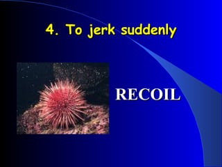 4. To jerk suddenly RECOIL 