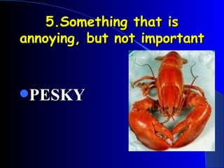5.Something that is annoying, but not important PESKY 