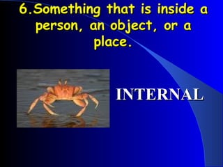 6.Something that is inside a person, an object, or a place. INTERNAL 