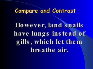 Compare and Contrast However, land snails have lungs instead of gills, which let them breathe air. 
