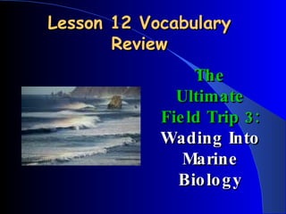 Lesson 12 Vocabulary Review The Ultimate Field Trip 3:  Wading Into Marine Biology 