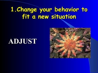 1.Change your behavior to fit a new situation ADJUST 