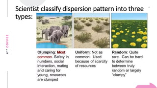 Lesson 12 Ecosystem and Stability | PPTX