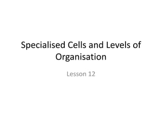 Specialised Cells and Levels of
Organisation
Lesson 12
 