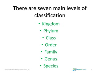 There are seven main levels of 
classification 
• Kingdom 
• Phylum 
• Class 
• Order 
• Family 
• Genus 
• Species 
© Copyright 2012 The Aquaponic Source, Inc 3 
 