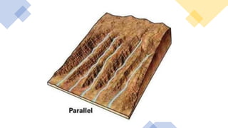 Lesson 12_Catchment and Stream Pattern.pdf