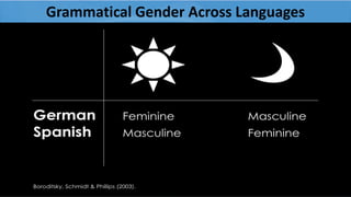 Grammatical Gender Across Languages
8
 