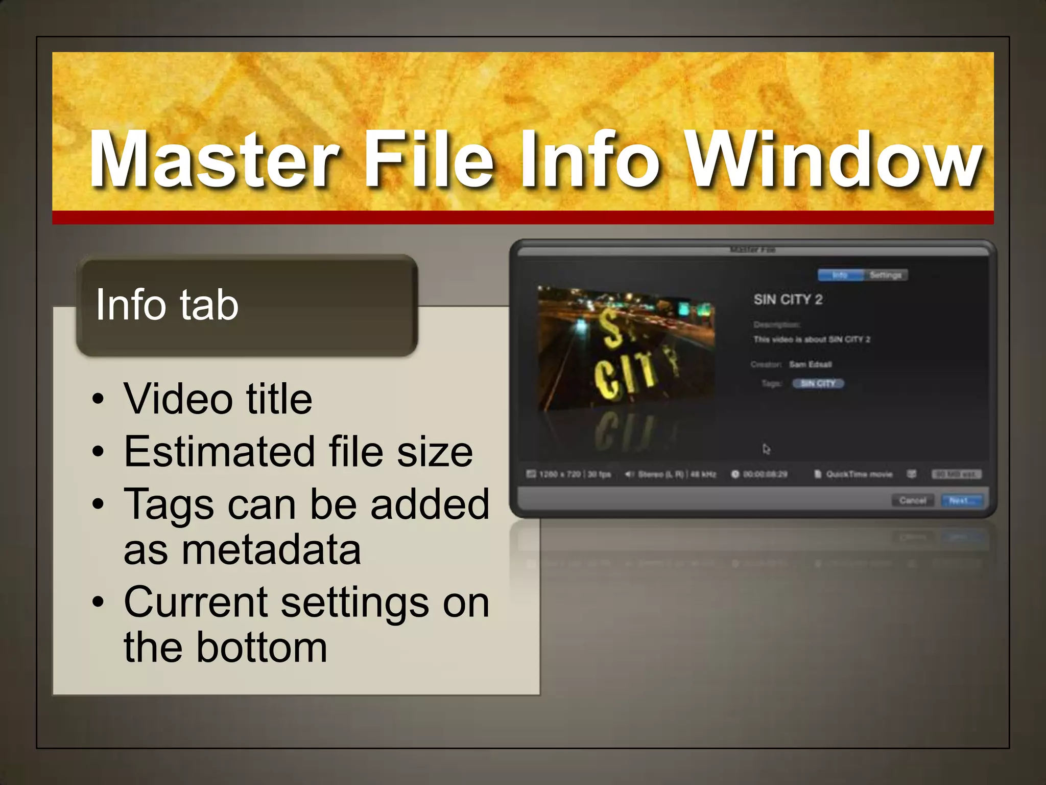 • Video title
• Estimated file size
• Tags can be added
as metadata
• Current settings on
the bottom
Info tab
Master File Info Window
 