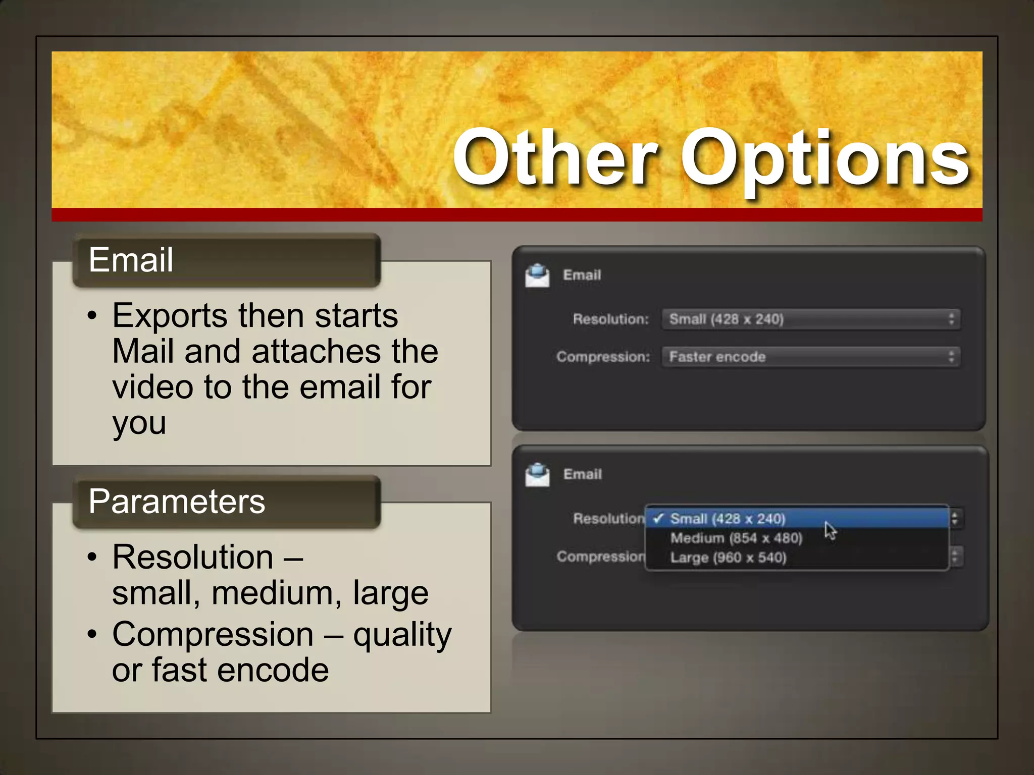 • Exports then starts
Mail and attaches the
video to the email for
you
Email
• Resolution –
small, medium, large
• Compression – quality
or fast encode
Parameters
Other Options
 