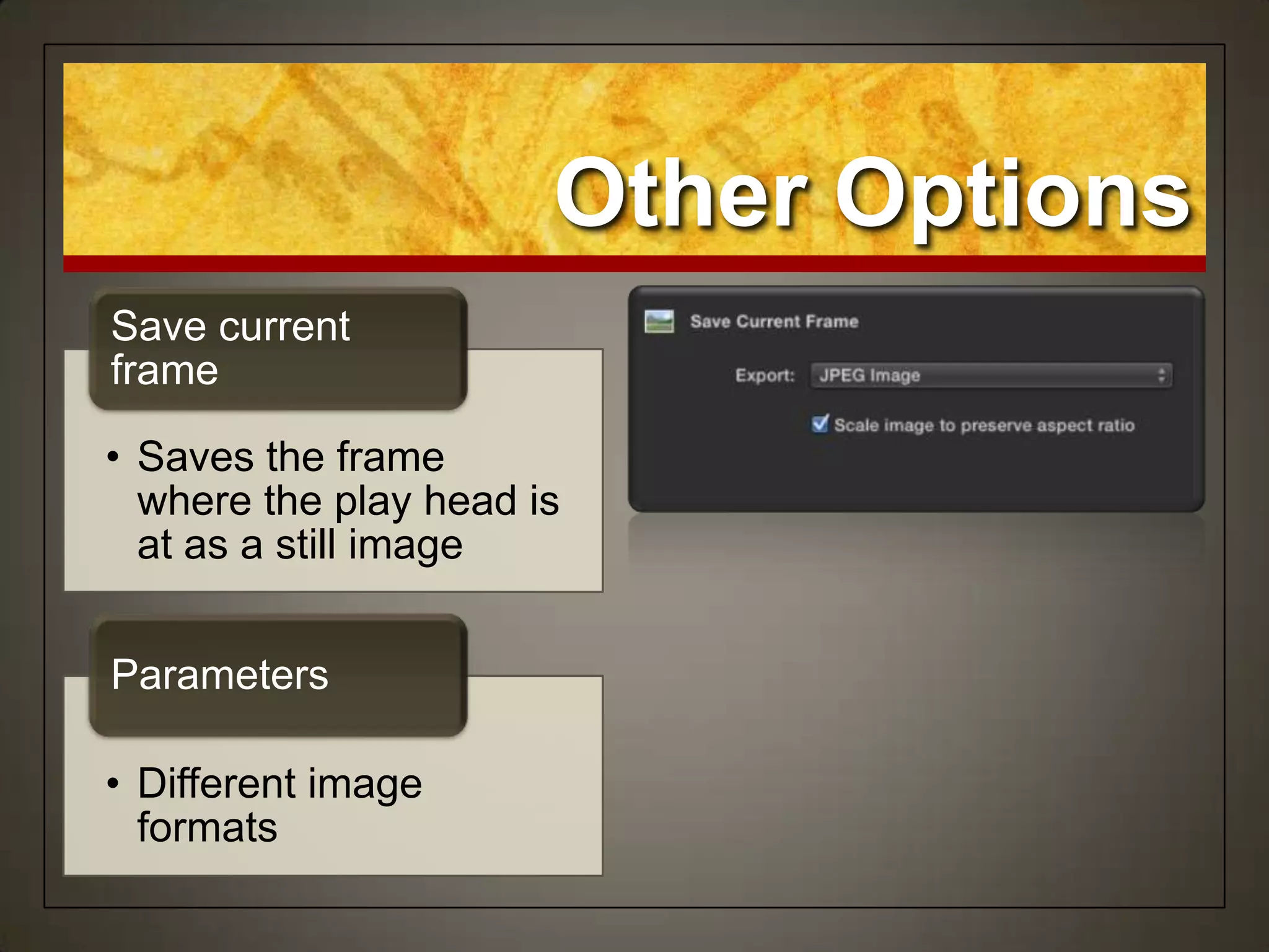 • Saves the frame
where the play head is
at as a still image
Save current
frame
• Different image
formats
Parameters
Other Options
 