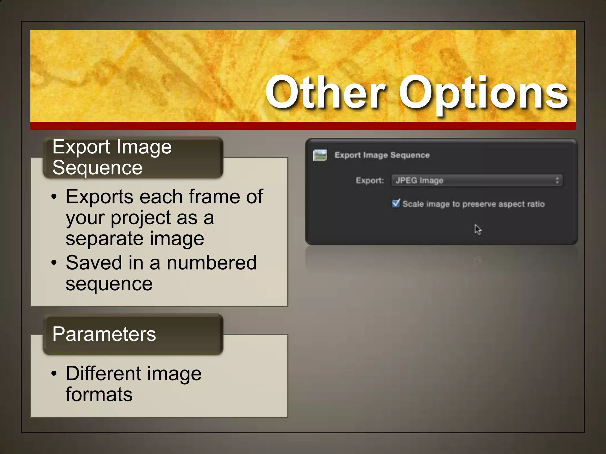 • Exports each frame of
your project as a
separate image
• Saved in a numbered
sequence
Export Image
Sequence
• Different image
formats
Parameters
Other Options
 