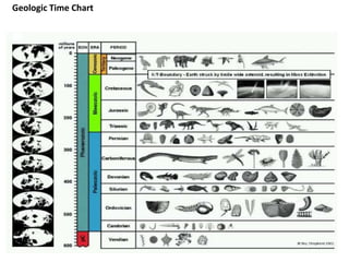 Geologic Time Chart 
 