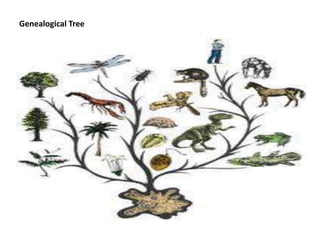 Genealogical Tree 
 