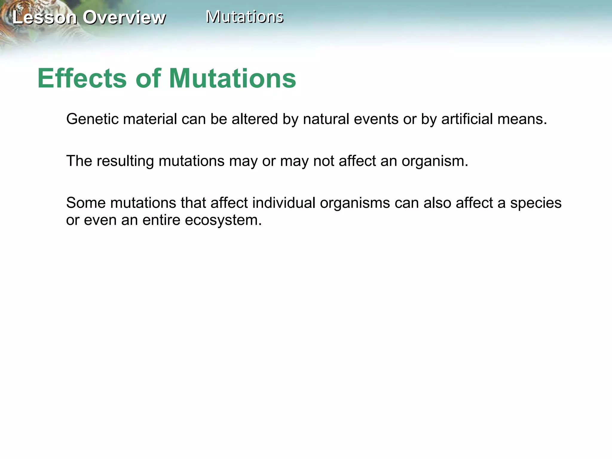Effects of Mutations Genetic material can be altered by natural events or by artificial means.  The resulting mutations may or may not affect an organism.  Some mutations that affect individual organisms can also affect a species or even an entire ecosystem. 