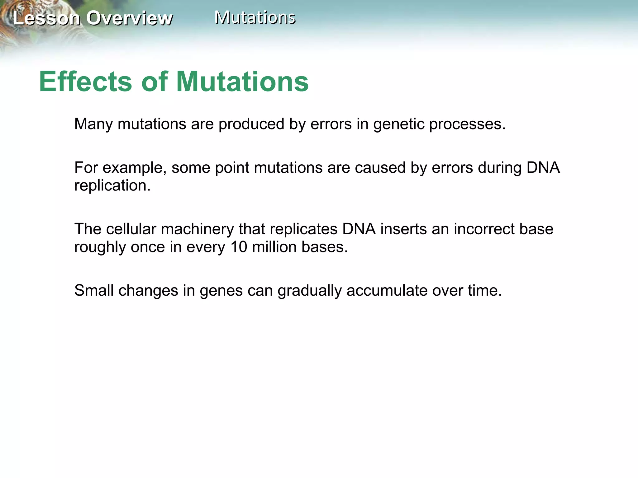 Effects of Mutations Many mutations are produced by errors in genetic processes.  For example, some point mutations are caused by errors during DNA replication.  The cellular machinery that replicates DNA inserts an incorrect base roughly once in every 10 million bases.  Small changes in genes can gradually accumulate over time. 