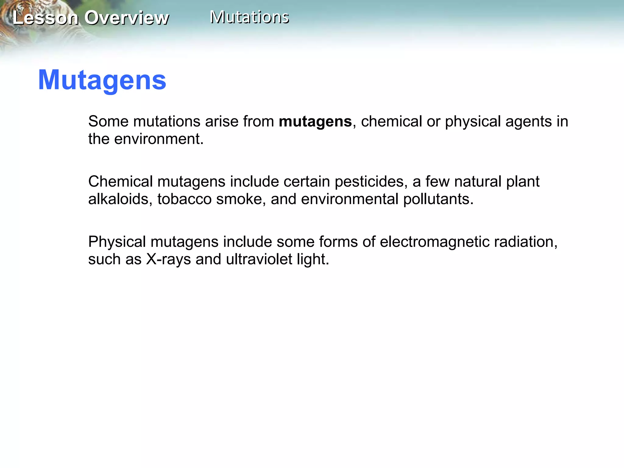 Mutagens  Some mutations arise from  mutagens , chemical or physical agents in the environment.  Chemical mutagens include certain pesticides, a few natural plant alkaloids, tobacco smoke, and environmental pollutants.  Physical mutagens include some forms of electromagnetic radiation, such as X-rays and ultraviolet light.  