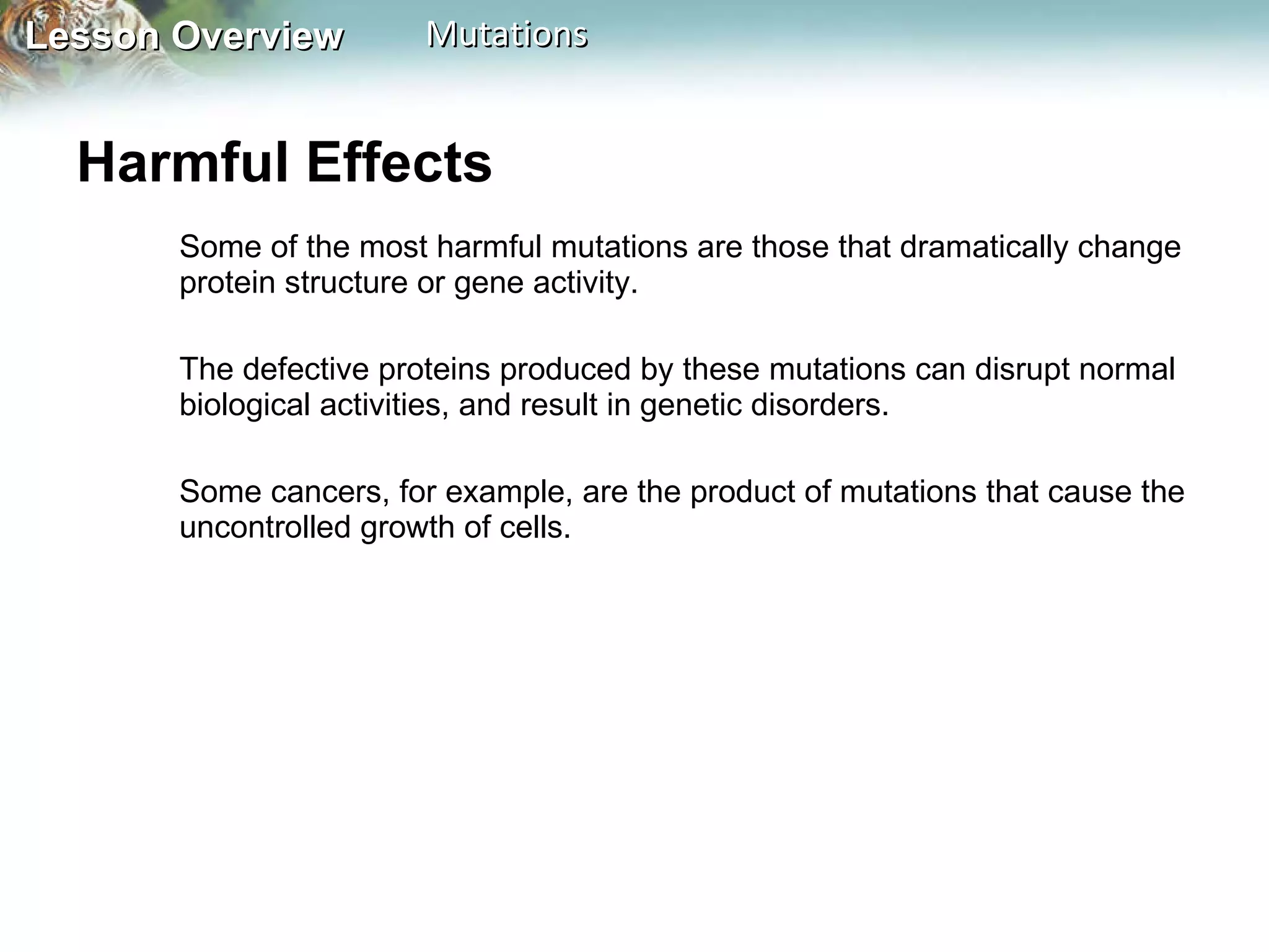 Harmful Effects  Some of the most harmful mutations are those that dramatically change protein structure or gene activity.  The defective proteins produced by these mutations can disrupt normal biological activities, and result in genetic disorders.  Some cancers, for example, are the product of mutations that cause the uncontrolled growth of cells.  