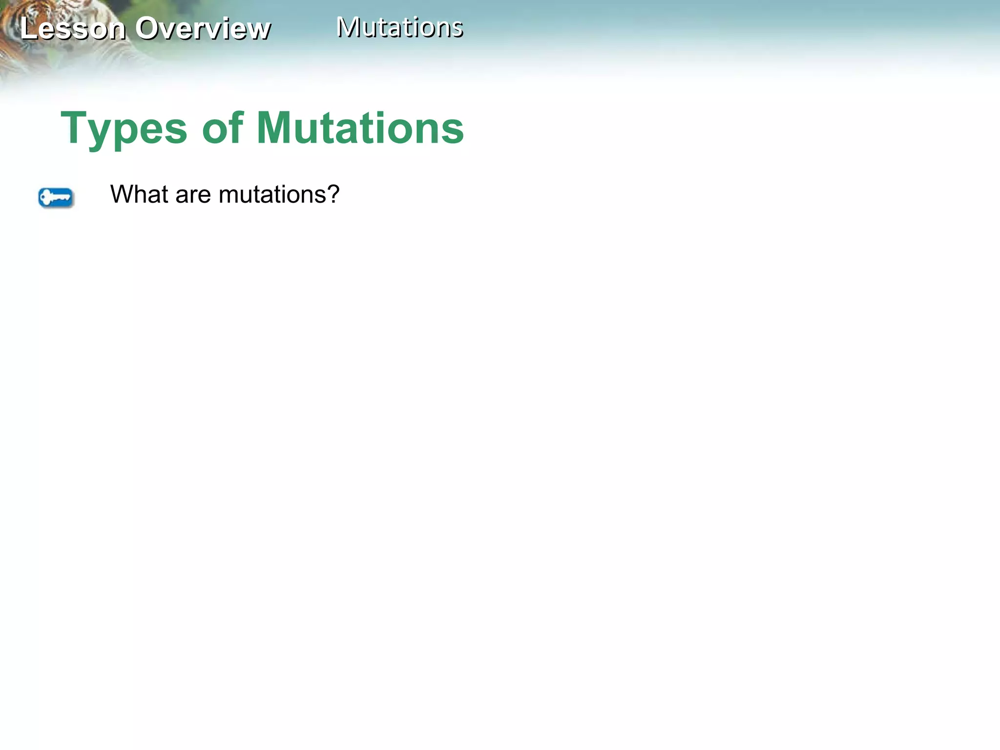 Types of Mutations What are mutations? 