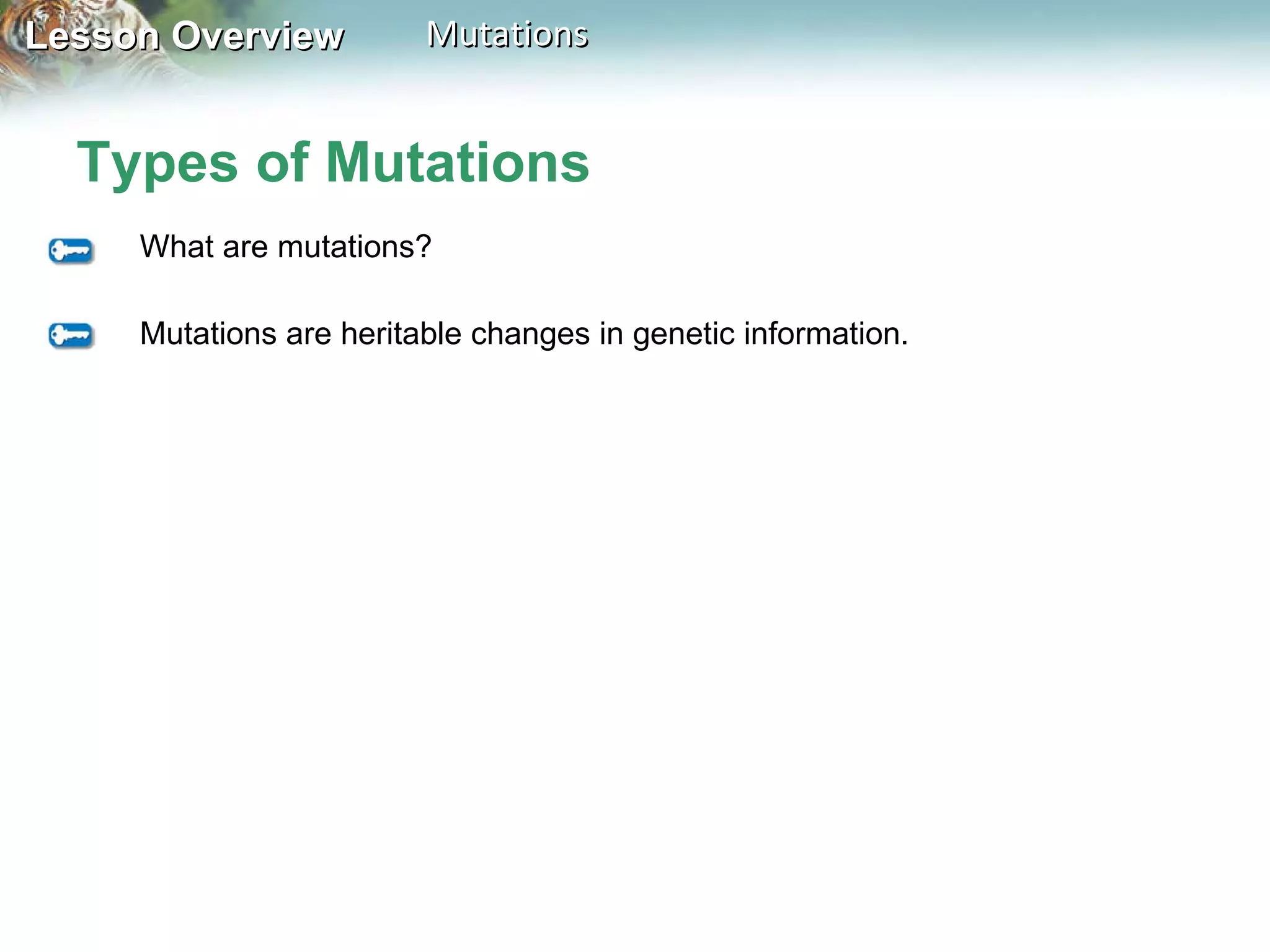 Types of Mutations What are mutations? Mutations are heritable changes in genetic information. 