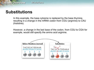 Substitutions  In this example, the base cytosine is replaced by the base thymine, resulting in a change in the mRNA codon from CGU (arginine) to CAU (histidine). However, a change in the last base of the codon, from CGU to CGA for example, would still specify the amino acid arginine. 