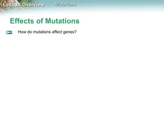 Effects of Mutations How do mutations affect genes? 