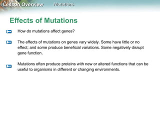 Effects of Mutations How do mutations affect genes? The effects of mutations on genes vary widely. Some have little or no effect; and some produce beneficial variations. Some negatively disrupt gene function. Mutations often produce proteins with new or altered functions that can be useful to organisms in different or changing environments. 