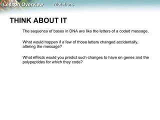 THINK ABOUT IT  The sequence of bases in DNA are like the letters of a coded message.  What would happen if a few of those letters changed accidentally, altering the message?  What effects would you predict such changes to have on genes and the polypeptides for which they code? 