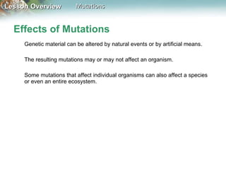 Effects of Mutations Genetic material can be altered by natural events or by artificial means.  The resulting mutations may or may not affect an organism.  Some mutations that affect individual organisms can also affect a species or even an entire ecosystem. 
