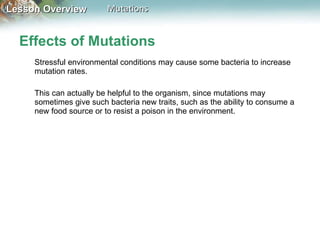 Effects of Mutations Stressful environmental conditions may cause some bacteria to increase mutation rates.  This can actually be helpful to the organism, since mutations may sometimes give such bacteria new traits, such as the ability to consume a new food source or to resist a poison in the environment. 