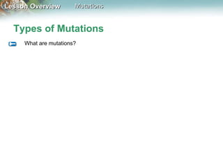 Types of Mutations What are mutations? 
