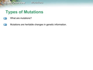 Types of Mutations What are mutations? Mutations are heritable changes in genetic information. 