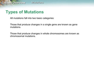 Types of Mutations All mutations fall into two basic categories:  Those that produce changes in a single gene are known as gene mutations.  Those that produce changes in whole chromosomes are known as chromosomal mutations. 