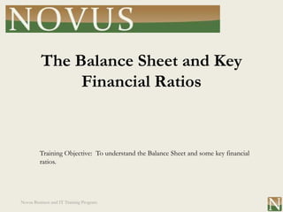 The Balance Sheet and Key
               Financial Ratios


         Training Objective: To understand the Balance Sheet and some key financial
         ratios.




Novus Business and IT Training Program
 