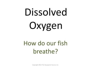 Dissolved 
Oxygen 
How do our fish 
breathe? 
Copyright 2012 The Aquaponic Source, Inc. 
 